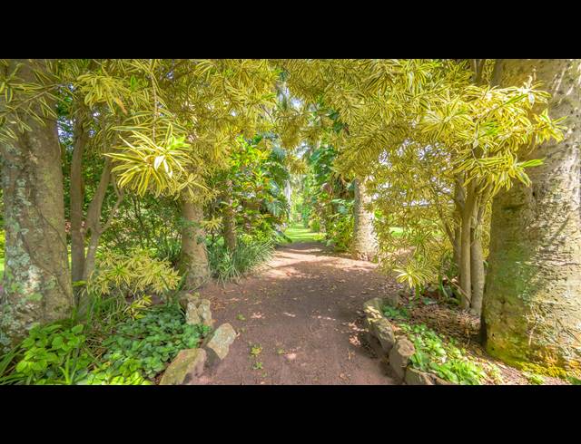 70,140M² FARM FOR SALE IN BALLITO CENTRAL